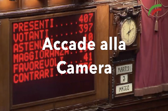 Video dalla camera